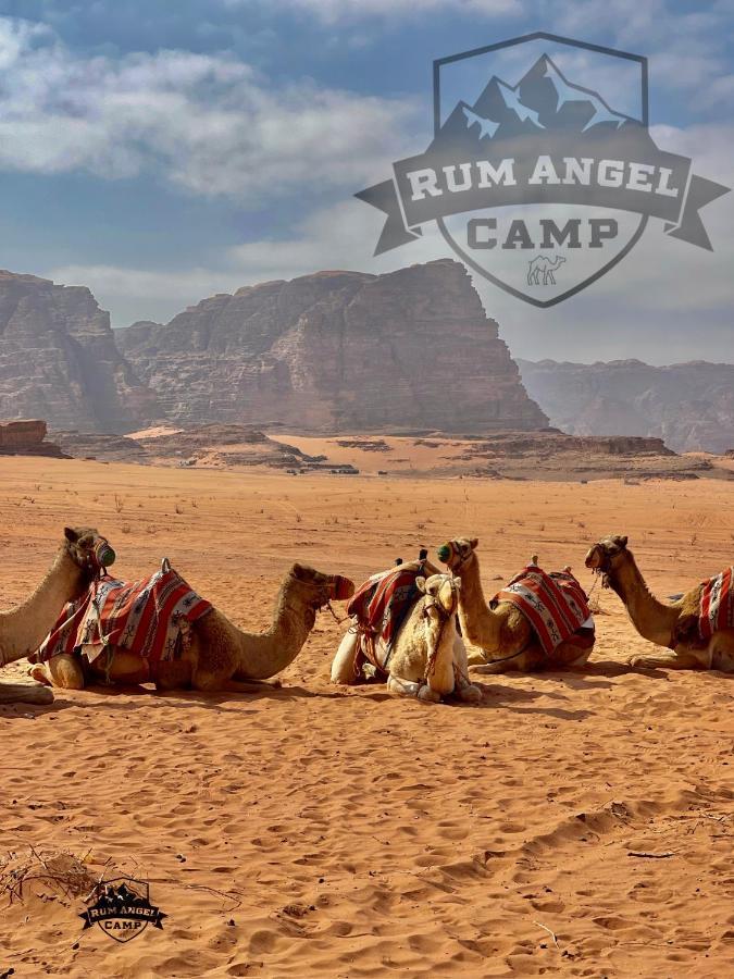 Rum Angel Camp Wadi Rum Exteriör bild