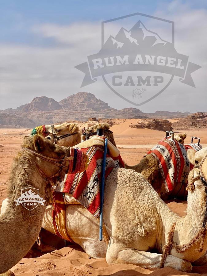 Rum Angel Camp Wadi Rum Exteriör bild