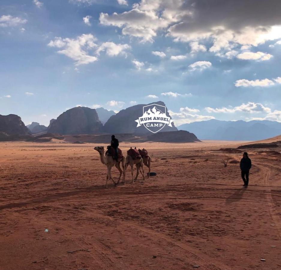 Rum Angel Camp Wadi Rum Exteriör bild
