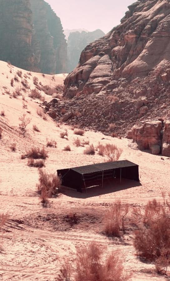 Rum Angel Camp Wadi Rum Exteriör bild