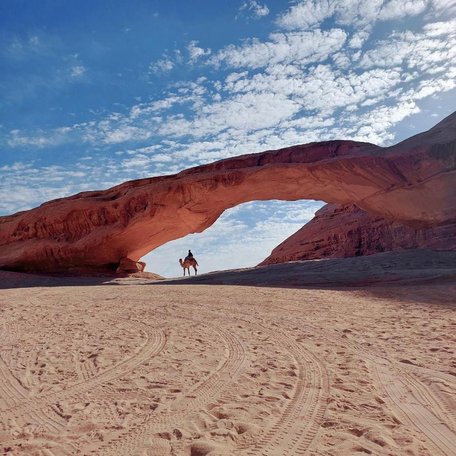 Rum Angel Camp Wadi Rum Exteriör bild