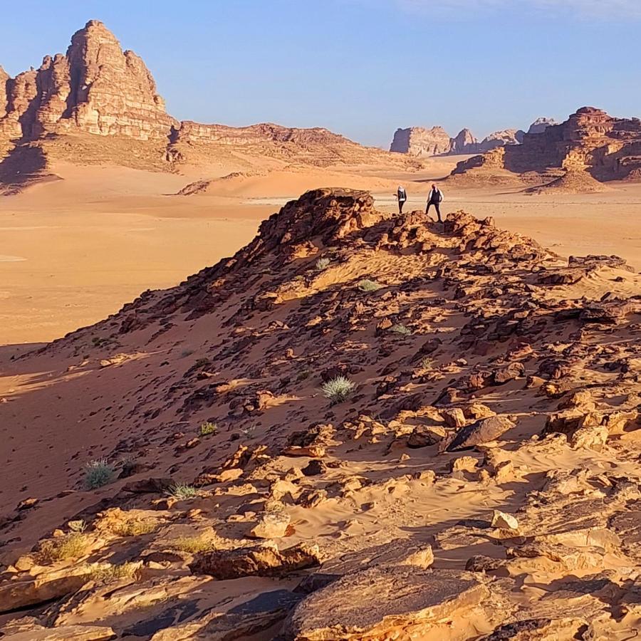 Rum Angel Camp Wadi Rum Exteriör bild